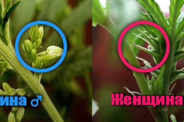 Как восстановить страницу на кракене
